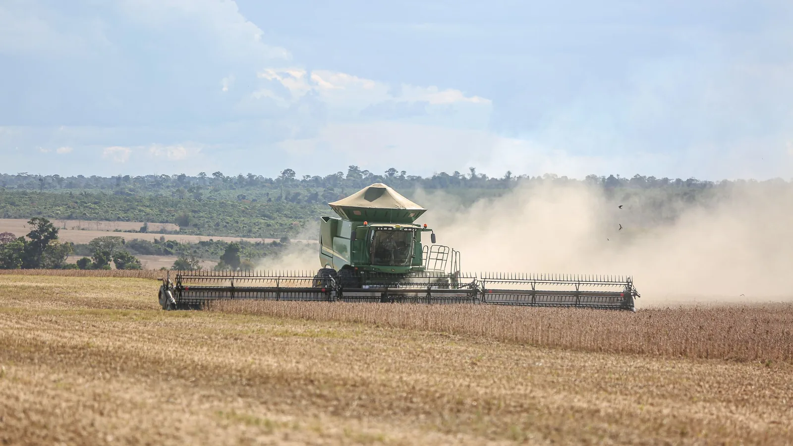 Colheitadeira trabalhando em lavoura de soja no Brasil